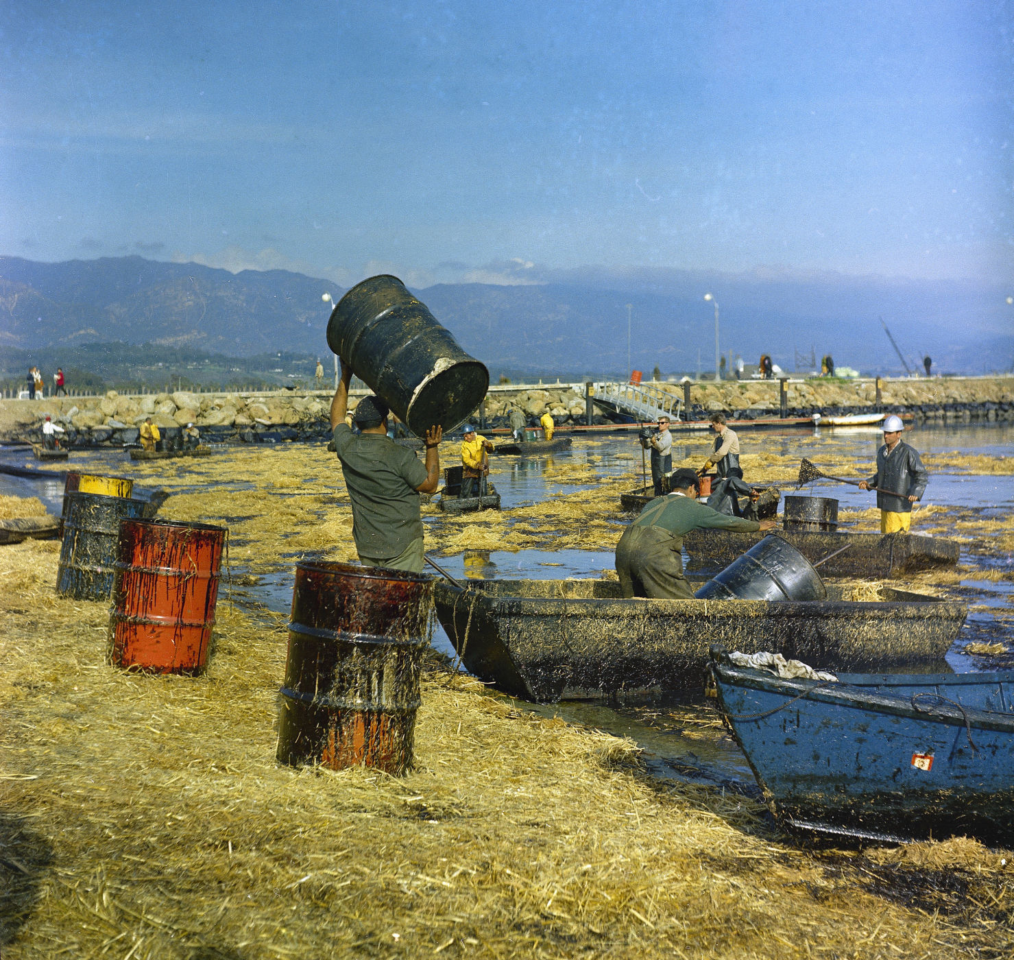 Gulf Oil Spill Shaping Society